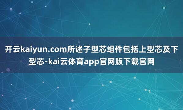 开云kaiyun.com所述子型芯组件包括上型芯及下型芯-kai云体育app官网版下载官网