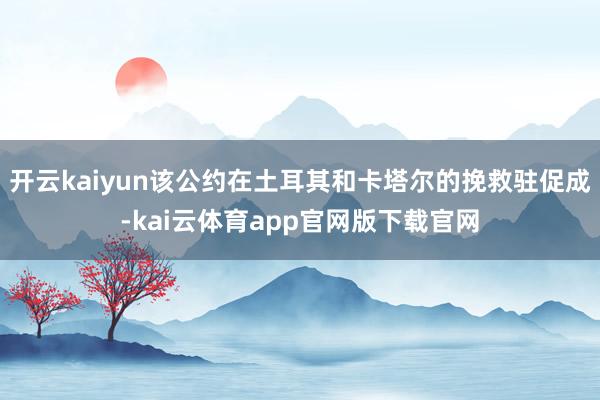 开云kaiyun该公约在土耳其和卡塔尔的挽救驻促成-kai云体育app官网版下载官网